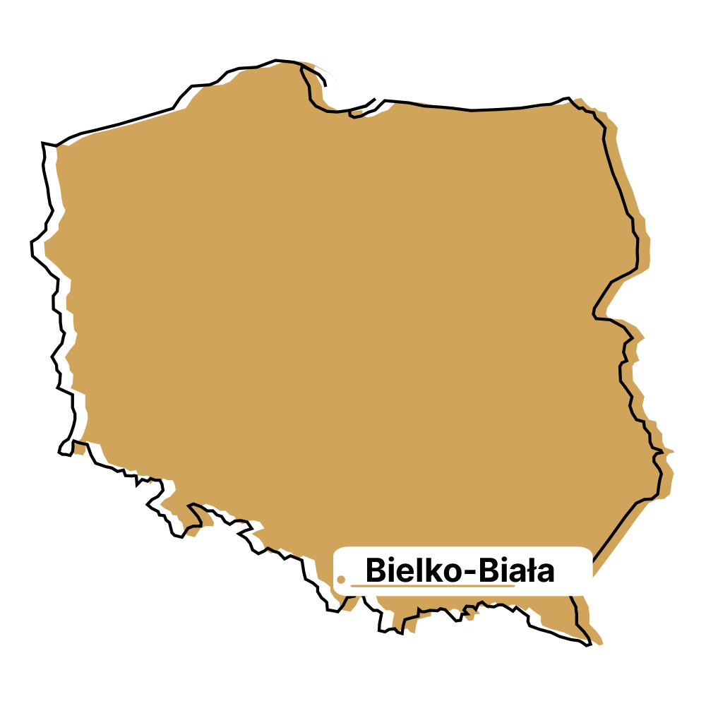 Auto Zastępcze Bielko-Biała - wynajmij samochód z polisy OC sprawcy na terenie Poznania od Zastępczak.,pl